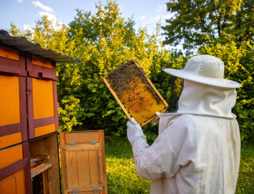 Natural Apitherapy